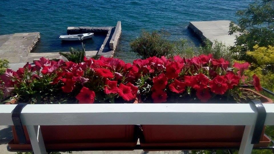 Bed And Breakfast Miramar Стариград-Пакленица Екстериор снимка