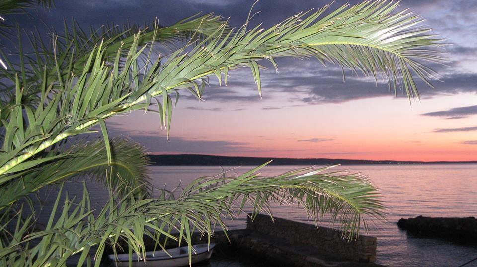 Bed And Breakfast Miramar Стариград-Пакленица Екстериор снимка